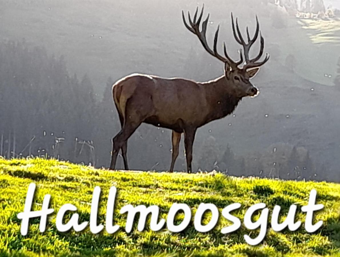 Hallmoosgut 상트조한임퐁가우 외부 사진